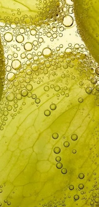 Vibrant green wallpaper with bubbles.