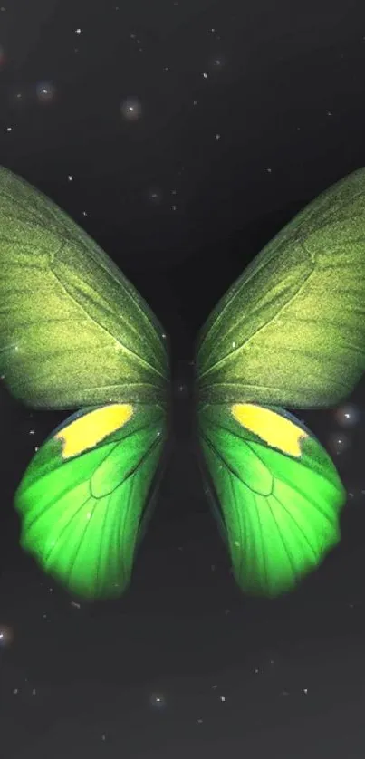 Green butterfly against a starry galaxy background.