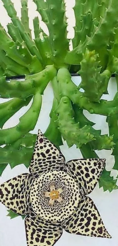 Wallpaper of green cactus with star-shaped flower.