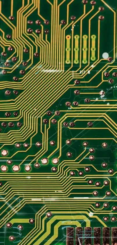 Green circuit board pattern for a tech-inspired wallpaper.