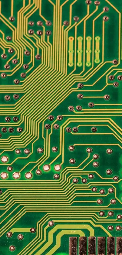 Green circuit board design wallpaper for tech-inspired devices.