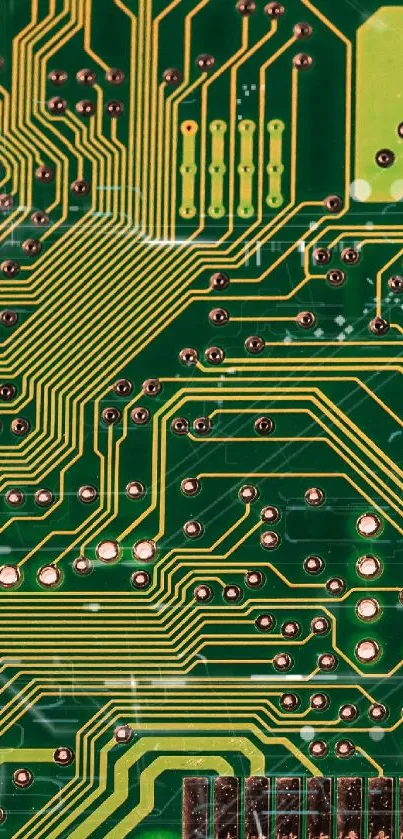 Intricate green circuit board design wallpaper.