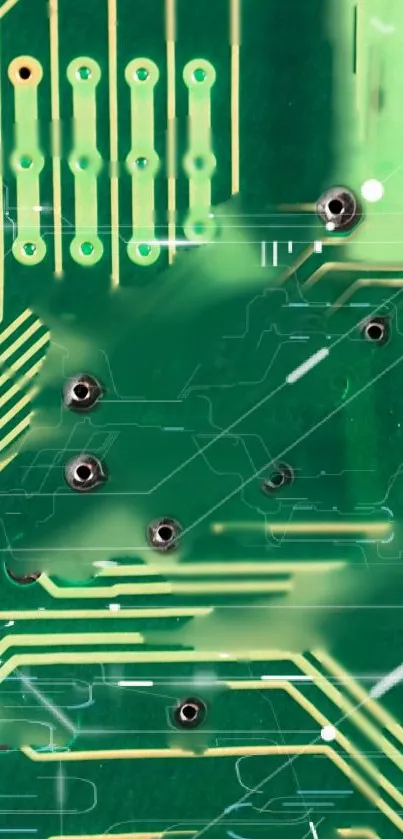 Intricate green circuit board pattern wallpaper.