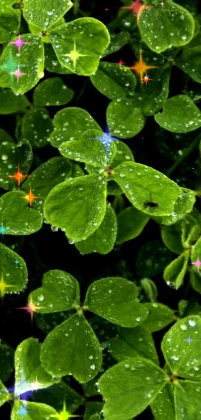 Green clover leaves with dewdrops and colorful sparkles on a dark background.