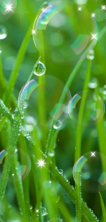 Close-up of dewy grass blades with bubbles in a vibrant green setting.