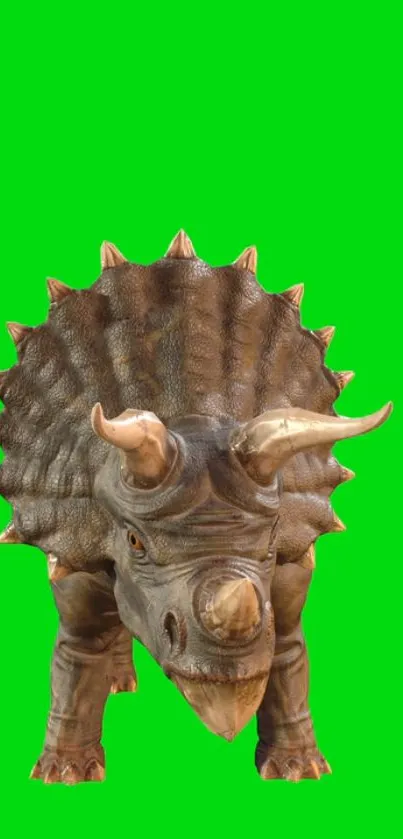 Triceratops with a green background wallpaper.