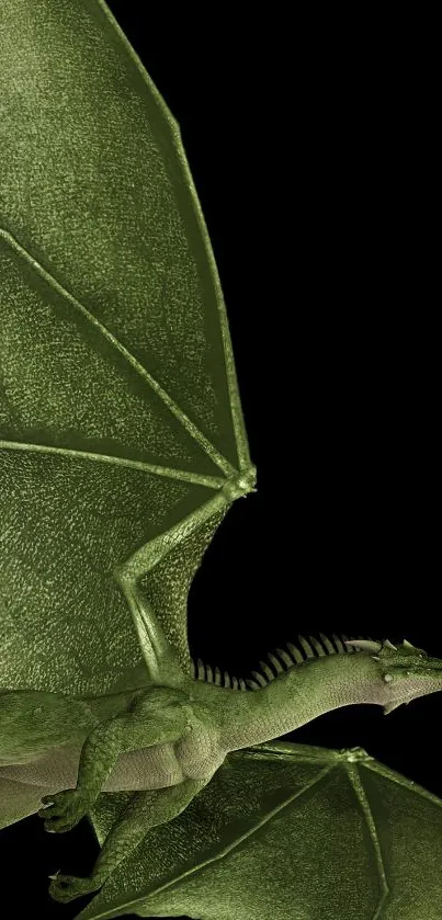 Green dragon with detailed wings on a dark background mobile wallpaper.