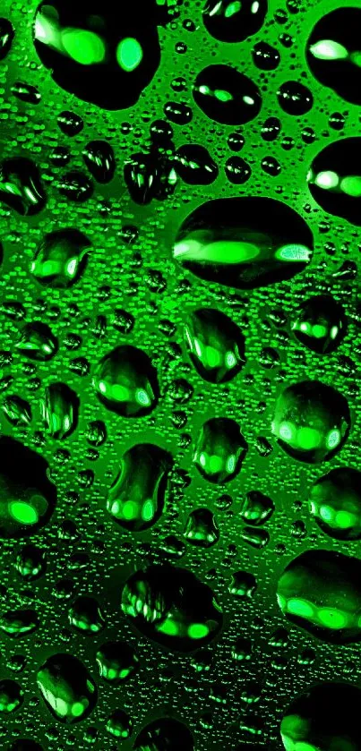 Close-up of green droplets on a surface creating a textured, vibrant wallpaper.