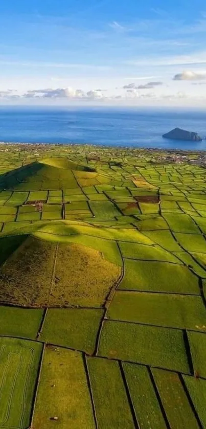 Aerial view of green fields stretching to the ocean with clear blue skies.