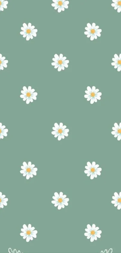 Sage green wallpaper with white daisies for a natural, minimal look.