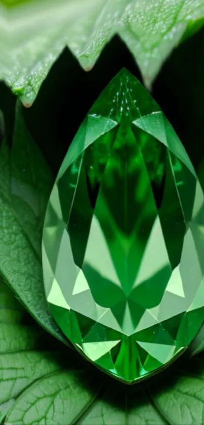 Green gem nestled in lush leaves with elegant design.