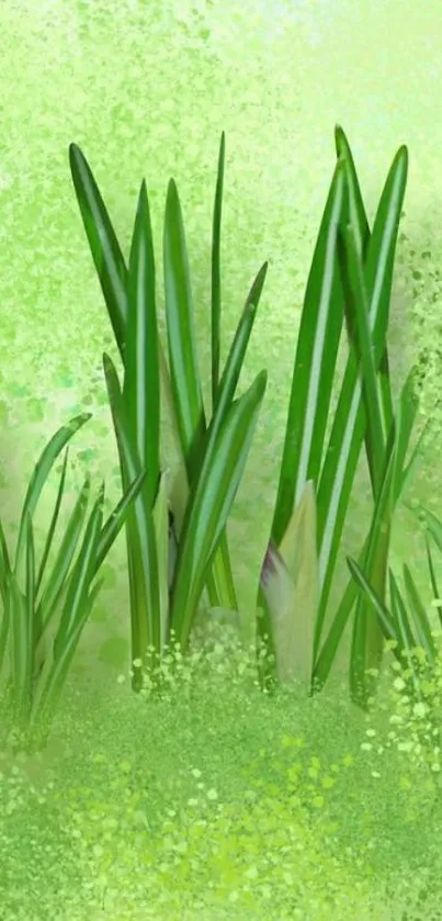 Illustrated green grass mobile wallpaper with a serene nature theme.