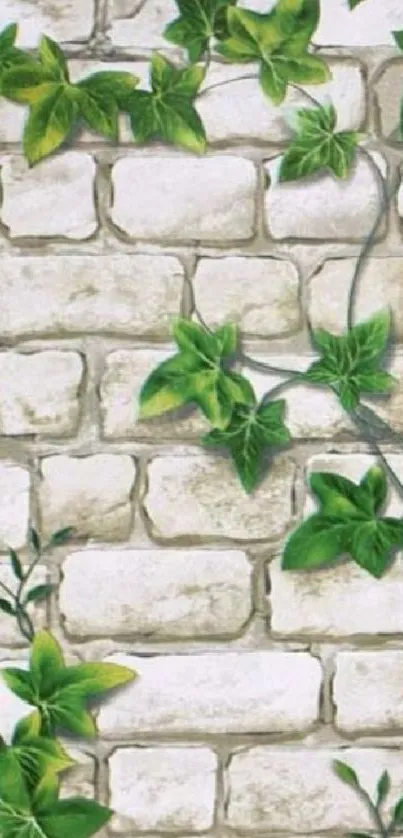 Green ivy cascading over a rustic brick wall backdrop.