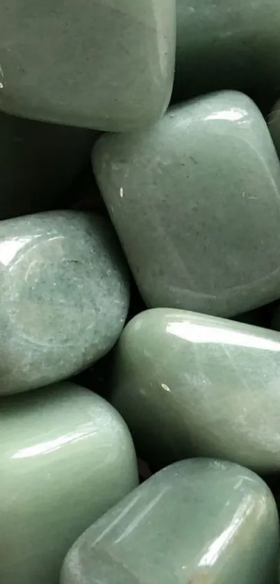 Close-up of smooth jade stones with a green tint.