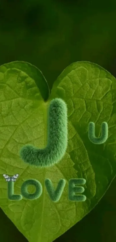 Green leaf shaped like a heart with 'I Love U' written on it.