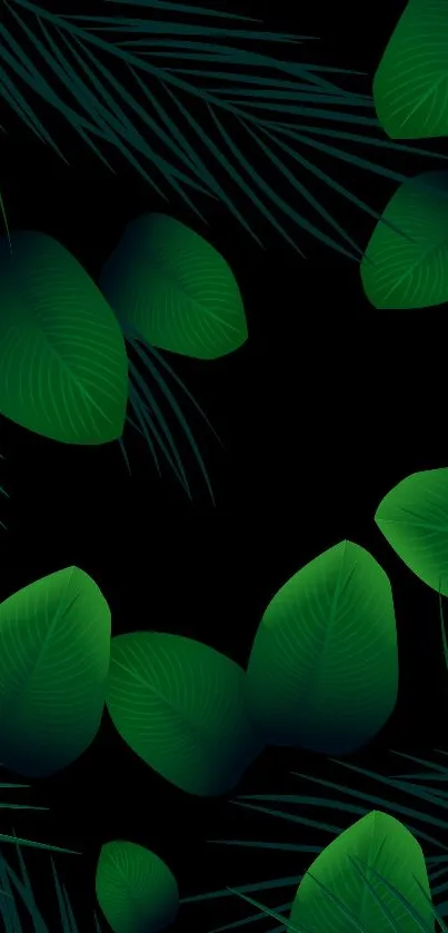 Green leaves on black background wallpaper.