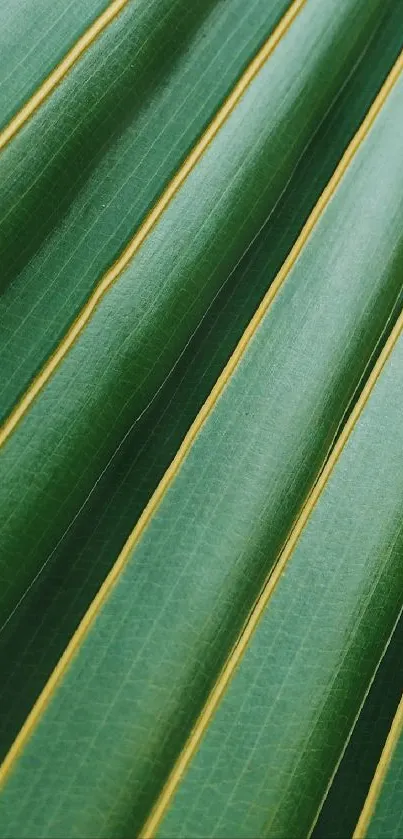 A vibrant green leaf pattern wallpaper with natural textures and stripes.