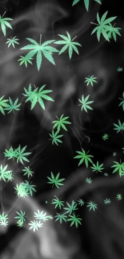 Green cannabis leaves with smoky black background for mobile wallpaper.