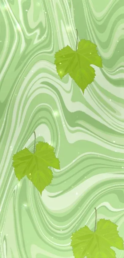 Green leaf wallpaper with swirling abstract background.