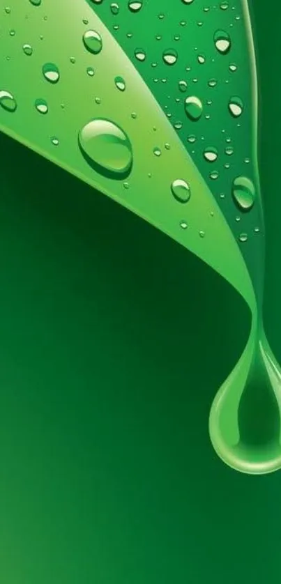 Green leaf with water drop wallpaper, nature inspired design.