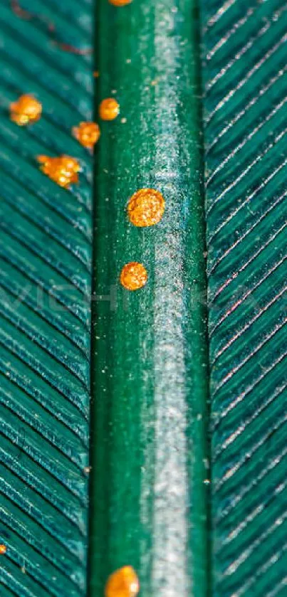 Close-up of a green leaf with orange specks as wallpaper design.