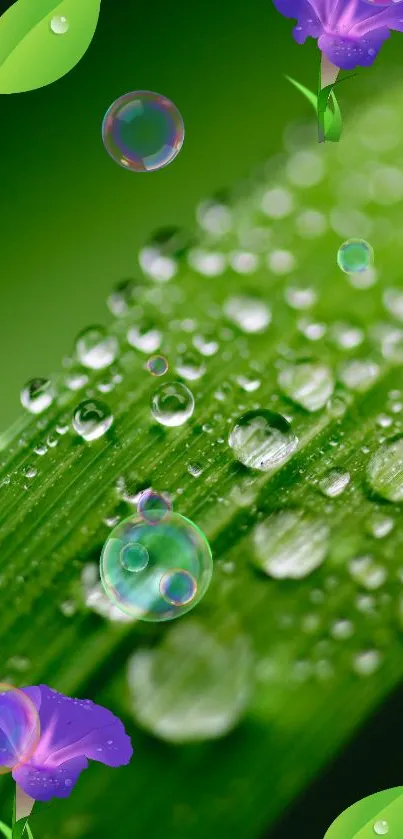 Green leaf with water droplets and bubbles in abstract design.