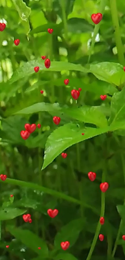 Lush green leaves with floating red hearts create a lively mobile wallpaper.