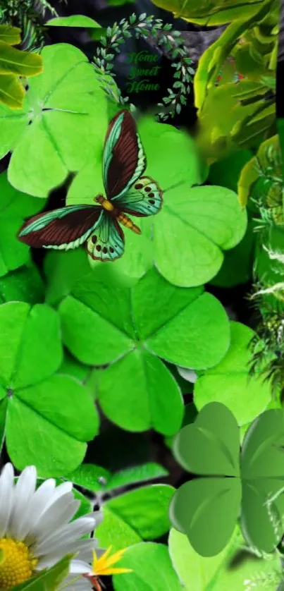 Green clover leaves with butterfly and daisy on mobile wallpaper.