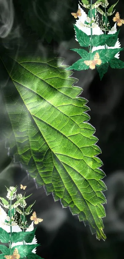 Green leaf mobile wallpaper with butterflies.