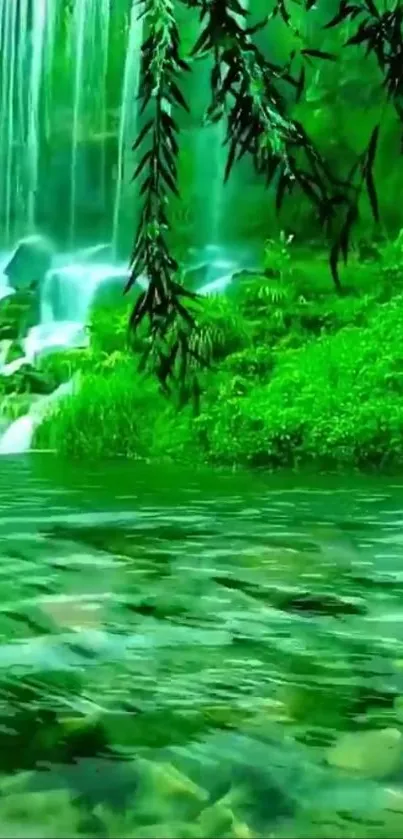 Green Nature Natural Landscape Live Wallpaper