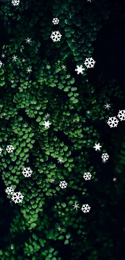 Green leaves with white snowflakes mobile wallpaper.