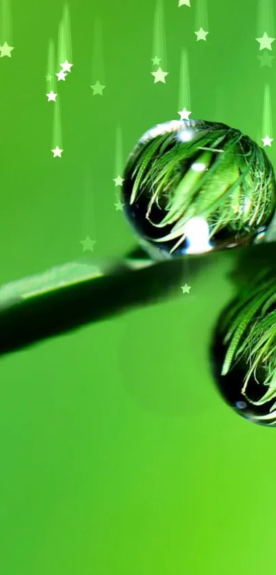Green nature wallpaper with dewdrops and star accents.