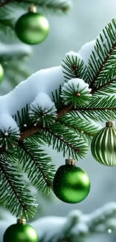 Green ornaments hanging on a snowy tree branch.