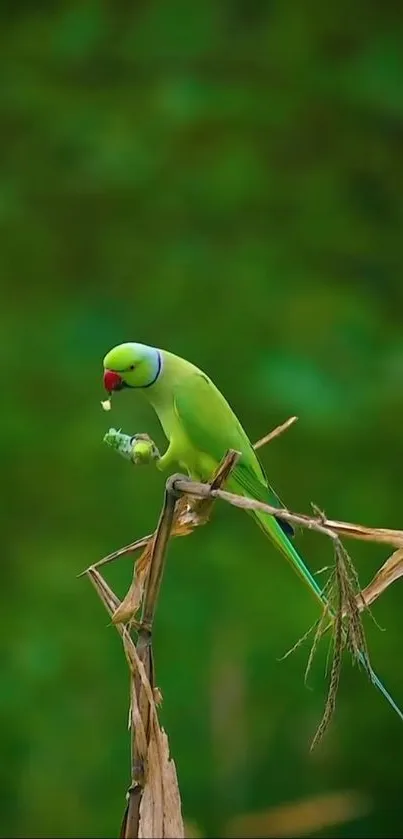 A vibrant green parrot perched on a branch with a lush green background.