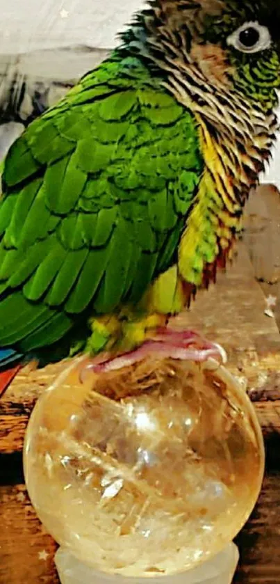 Green parrot perched on a crystal sphere with a decorative background.