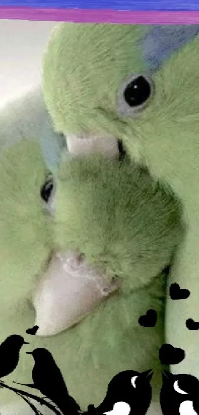 Close-up of a green parrot couple showing affection.