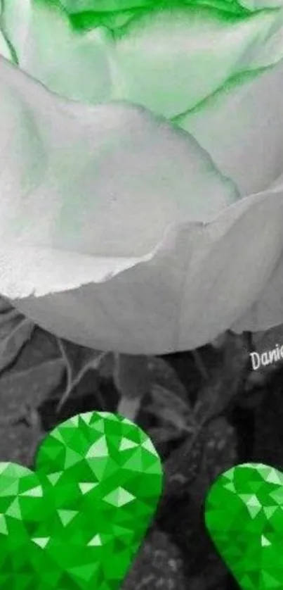 Black and white rose with green hue and geometric hearts.