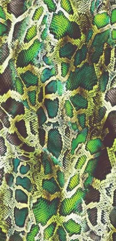 Green snake skin pattern wallpaper with vibrant textures.