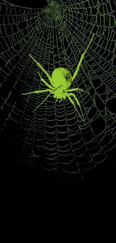 A neon green spider on a black spider web wallpaper.