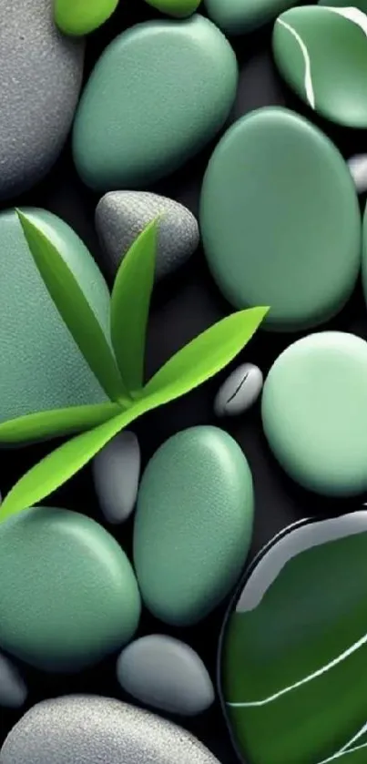 Wallpaper of smooth green stones with leaves for a peaceful look.