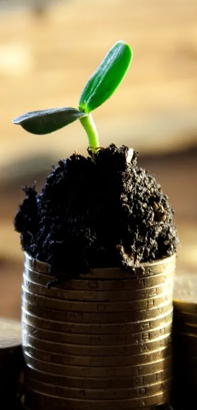 Sprout growing on stacked coins, symbolizing financial growth and nature.