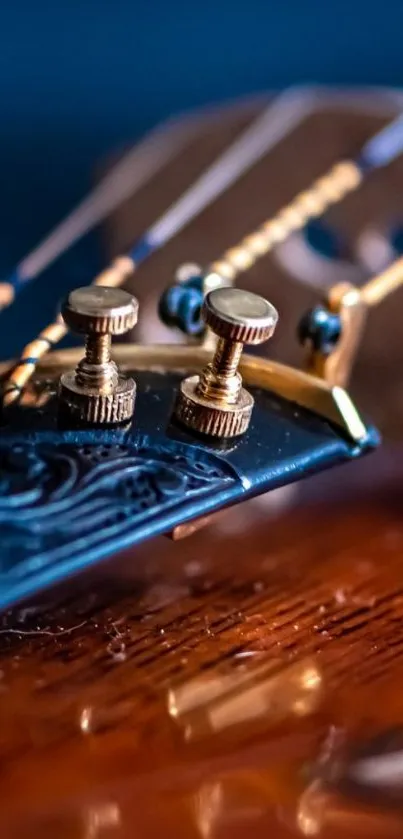 Close-up of guitar strings and pegs with rich textures and colors.