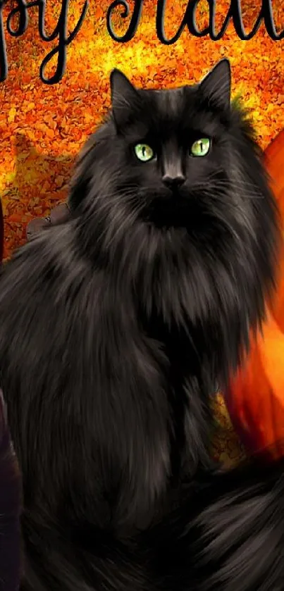 Halloween theme with black cat and pumpkins.