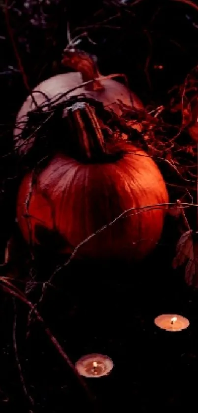 Candlelit pumpkins in a dark, spooky scene.