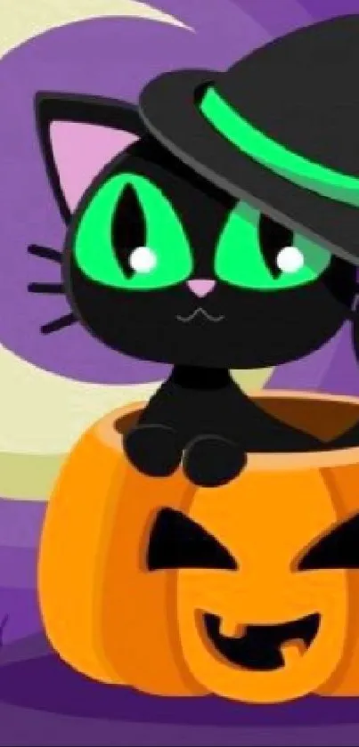 Cute black cat in pumpkin with a witch hat under crescent moon.