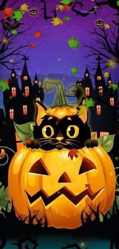 Black cat sitting in a pumpkin with a spooky castle and night sky background.