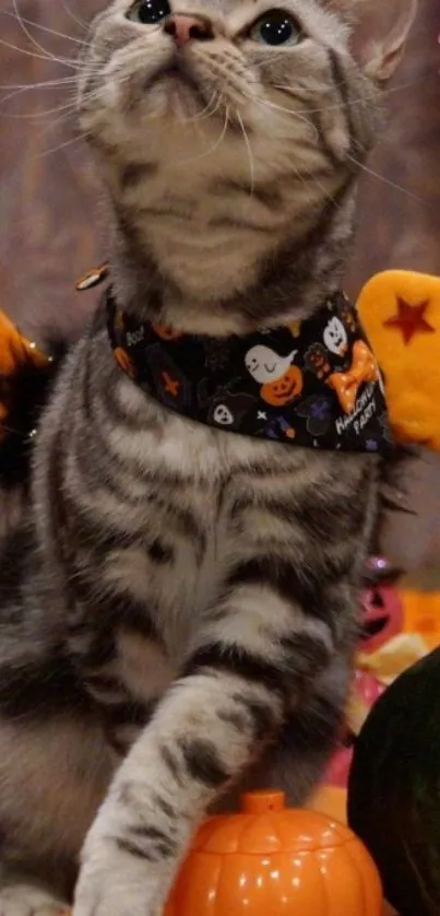 Cat with Halloween decorations and orange wings.