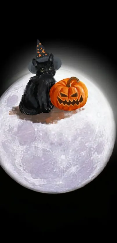 Black cat in witch hat and pumpkin on moon