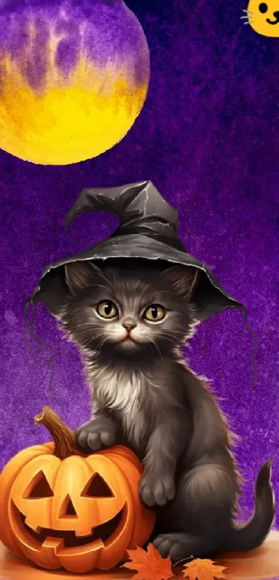 Cute kitten in witch hat with pumpkin on purple Halloween wallpaper.