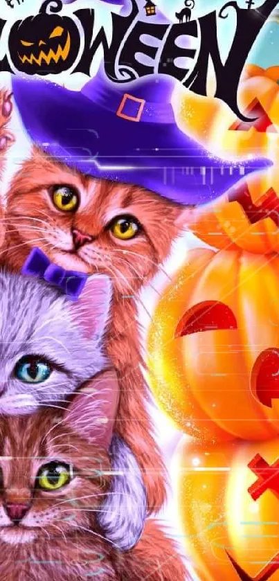 Adorable cats and pumpkins Halloween wallpaper for mobile.